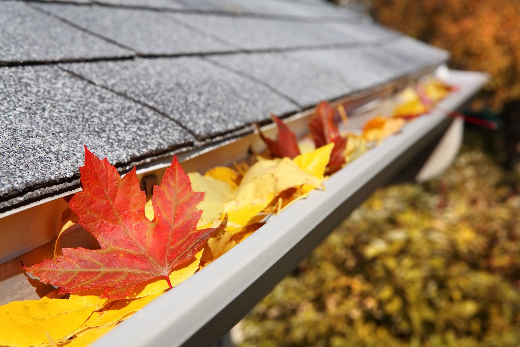 Autumn Home Maintenance Checklist