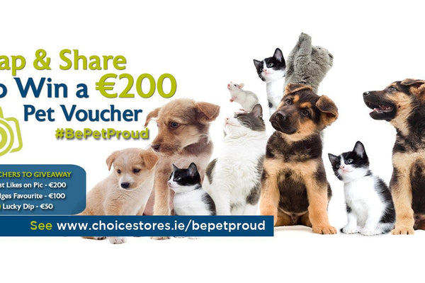 Be Pet Proud Competition 2020