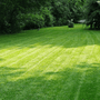 Caring for your lawn this Summer