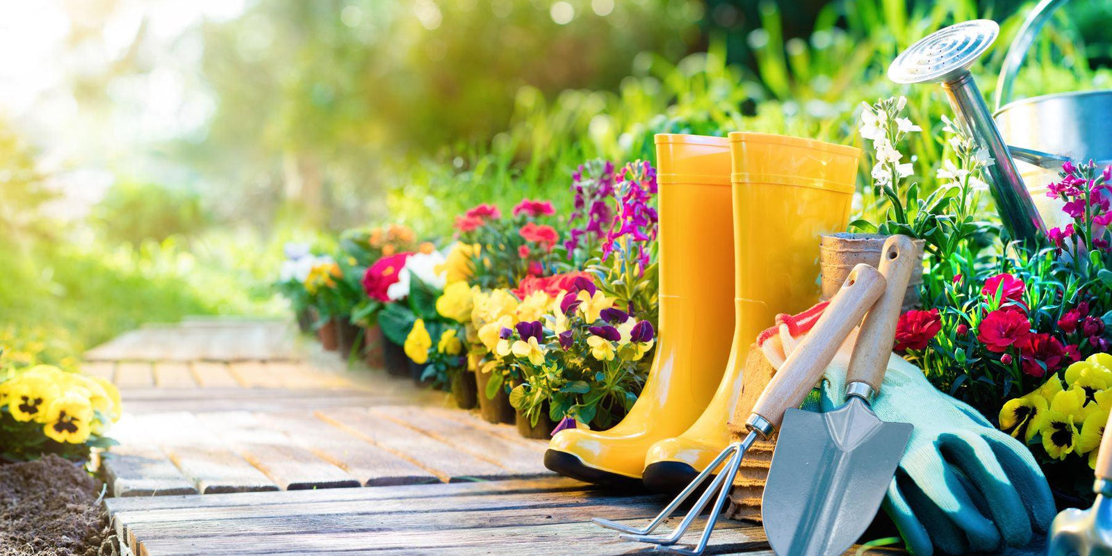 Essential Gardening Tips for May