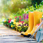 Essential Gardening Tips for May