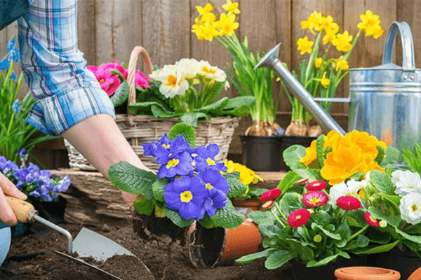 essential spring gardening tasks