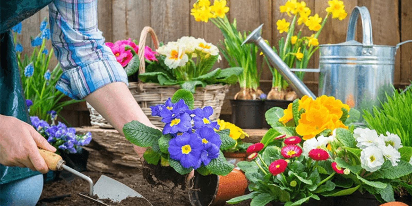 essential spring gardening tasks