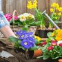 essential spring gardening tasks