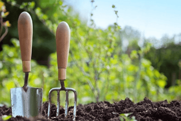 Gardening Tips for February