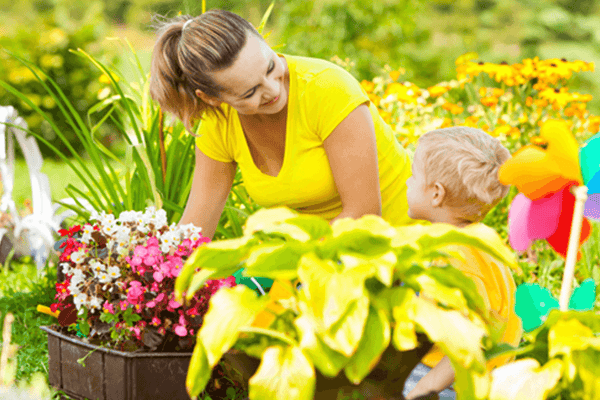 How Best to Prepare Your Garden for Summer