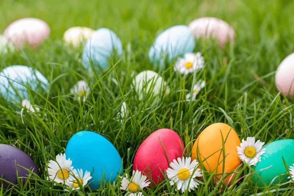 Novel Easter Egg Hunt Ideas