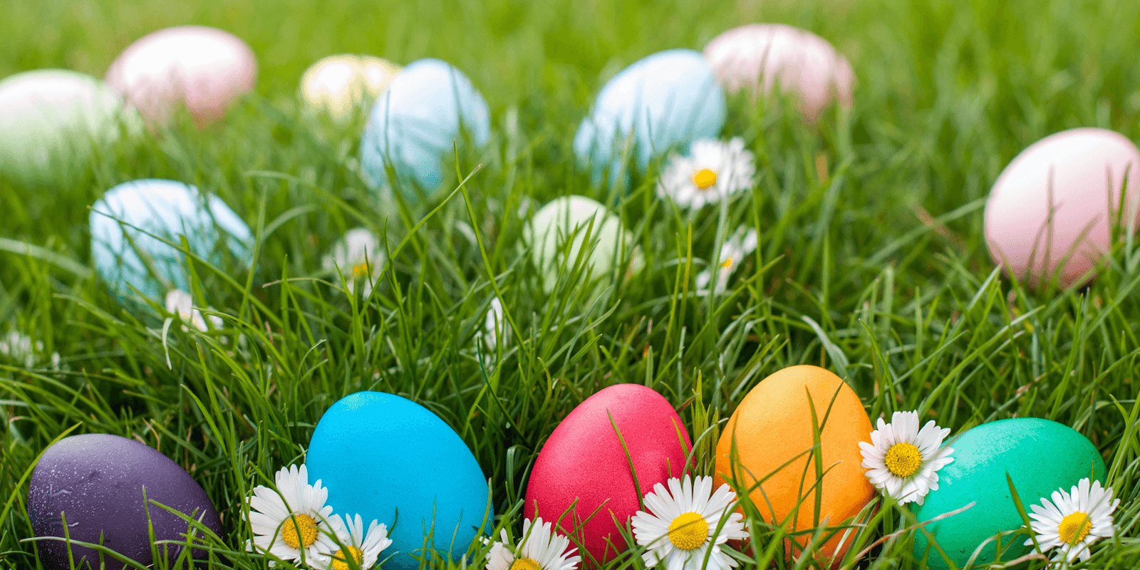 Novel Easter Egg Hunt Ideas