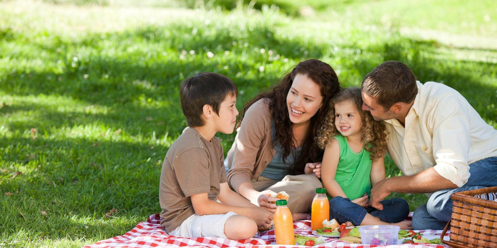 Planning your Family Picnic - The Essentials