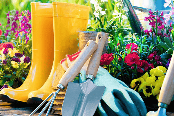 Spring Garden Maintenance Tips