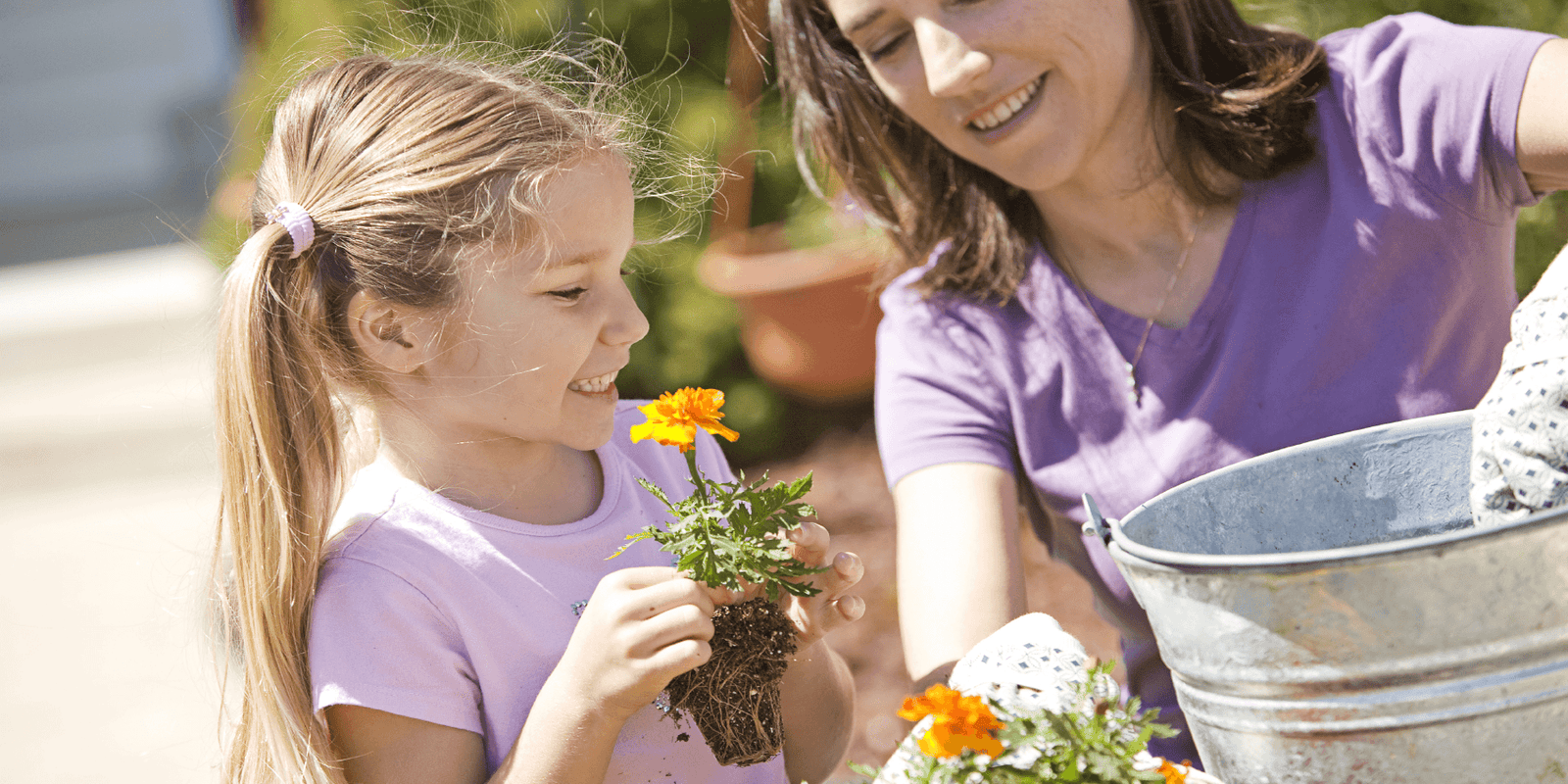 summer gardening tips