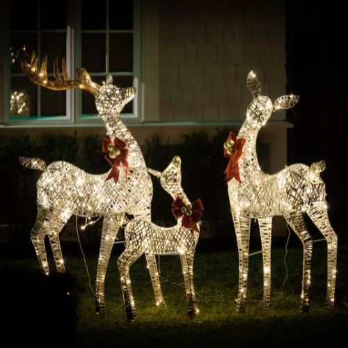 Outdoor Christmas Lights