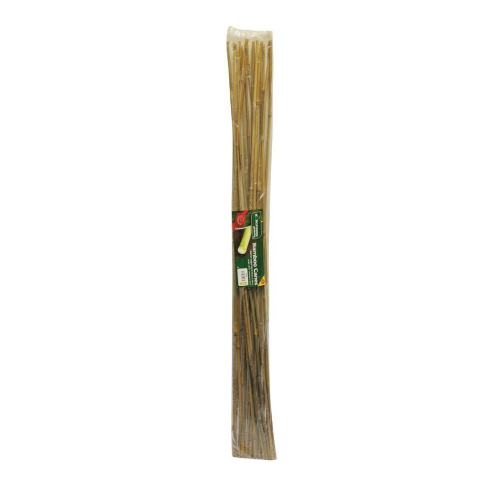 Kingfisher 60cm Bamboo Canes | Pack of 20