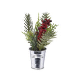 Christmas Berries Plant in Pot | 21cm - Choice Stores