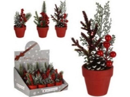 Christmas Plant in Red Pot with Berries | 15cm - Choice Stores