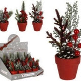 Christmas Plant in Red Pot with Berries | 15cm - Choice Stores