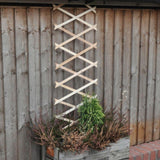 Kingfisher Garden Trellis | 6ft x 1ft - Choice Stores