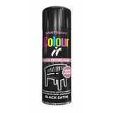 Paint Factory Colour it Quick Drying Black Satin Finish Spray Paint - Choice Stores