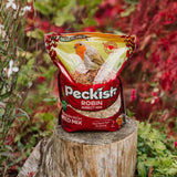 Peckish Robin Insect Seed Mix | 2 kg - Choice Stores