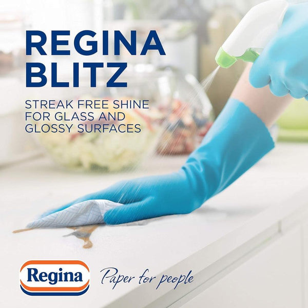 Regina Household Towels Blitz | 2 Rolls - Choice Stores