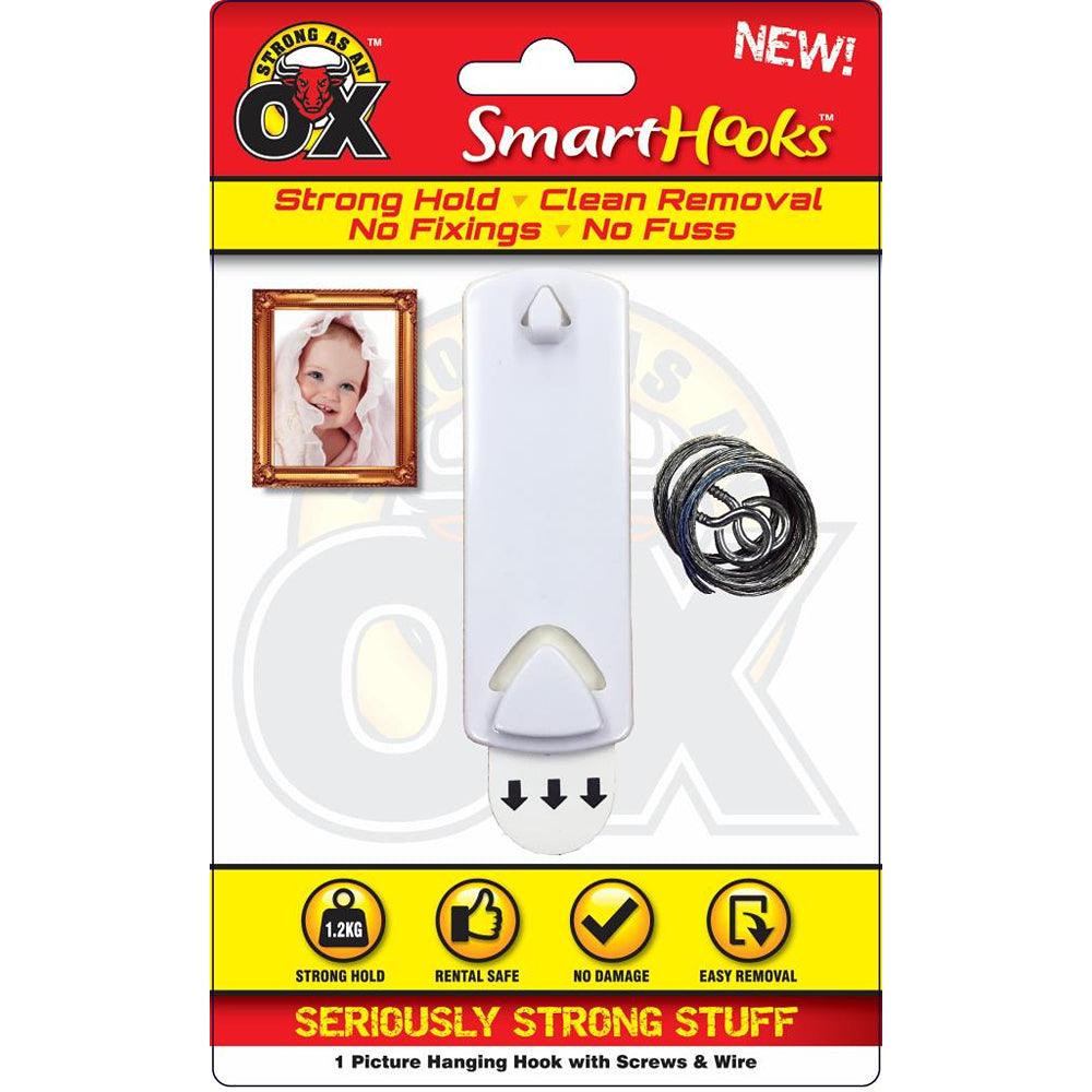 Strong as an Ox Removable Picture Hanging Plastic Hook with Screws & Wire | 1.2kg Capacity - Choice Stores