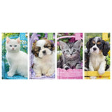 Tallon Slim Week to View Photographic Kitten & Puppy Diary - Choice Stores