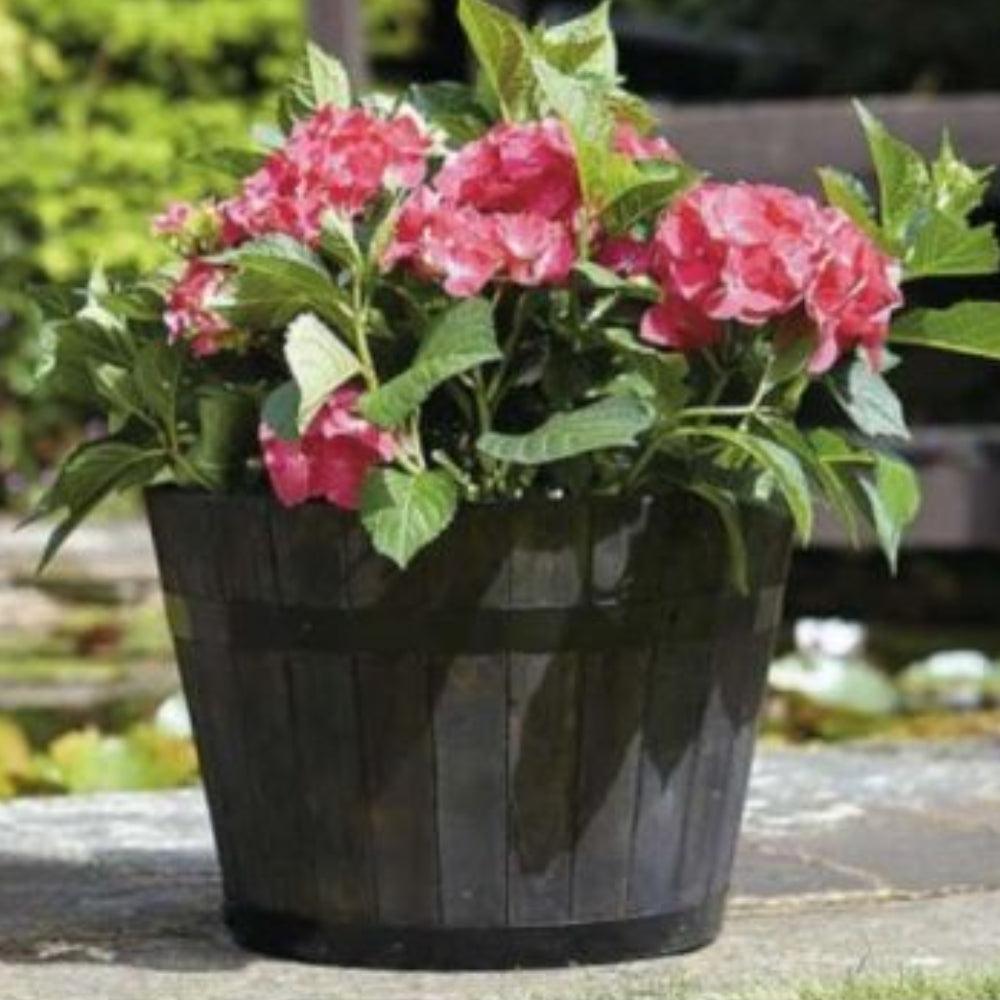 Tom Chambers Whisky Barrel Planter - Choice Stores