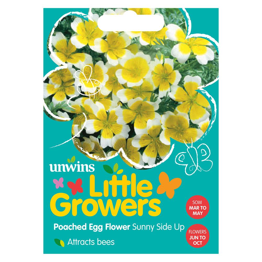 Unwins Little Growers Poached Egg Flower Sunnyside Up Seeds - Choice Stores