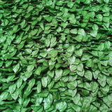 Wonderwal Beech Leaf Trellis | 100 x 200cm - Choice Stores