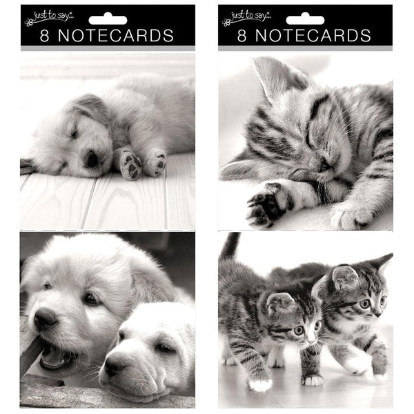 Just to Say Square Cat/Dog Notecards | Pack of 8 - Choice Stores